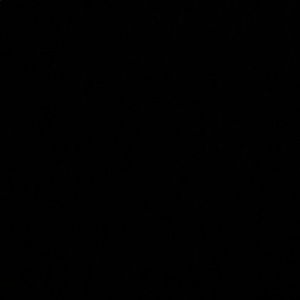 Meet your Posher, Isabel